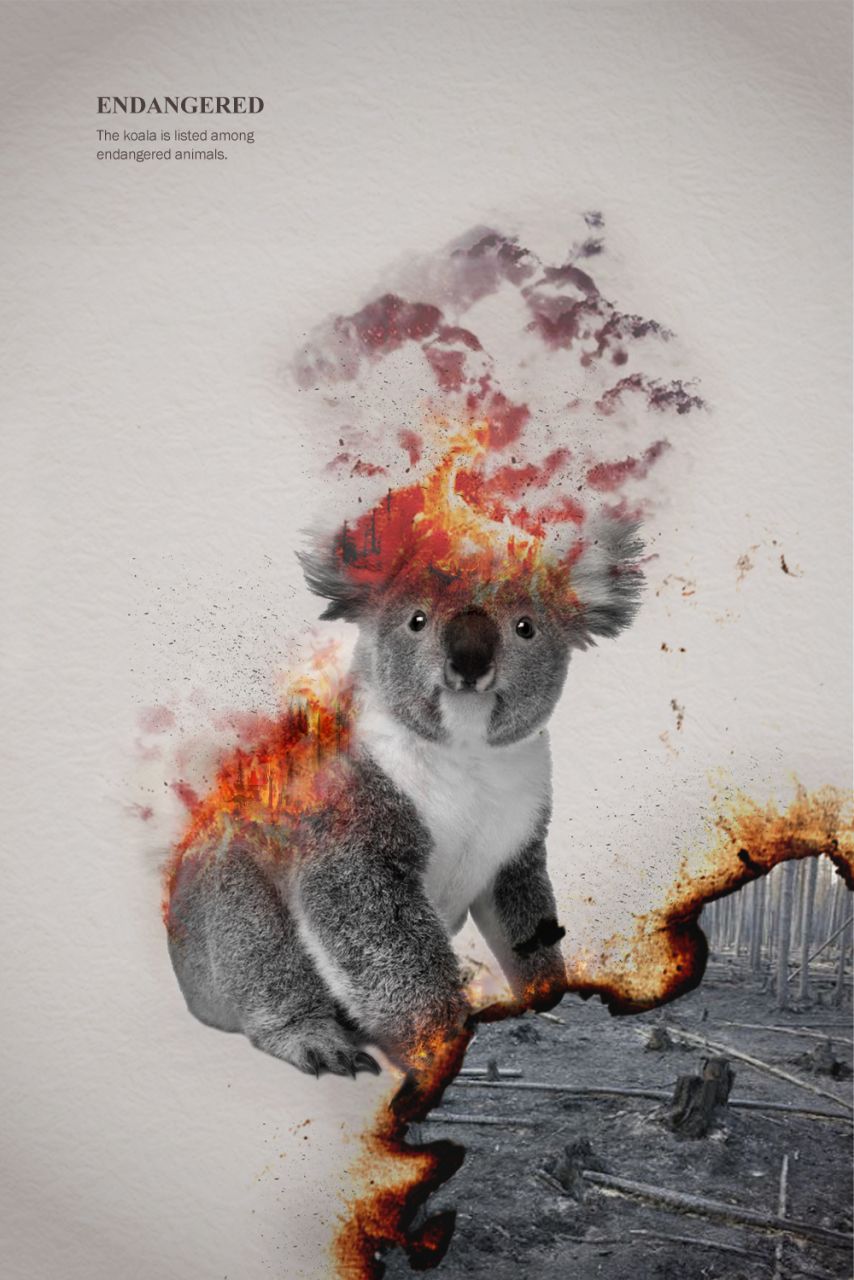 Endangered Image