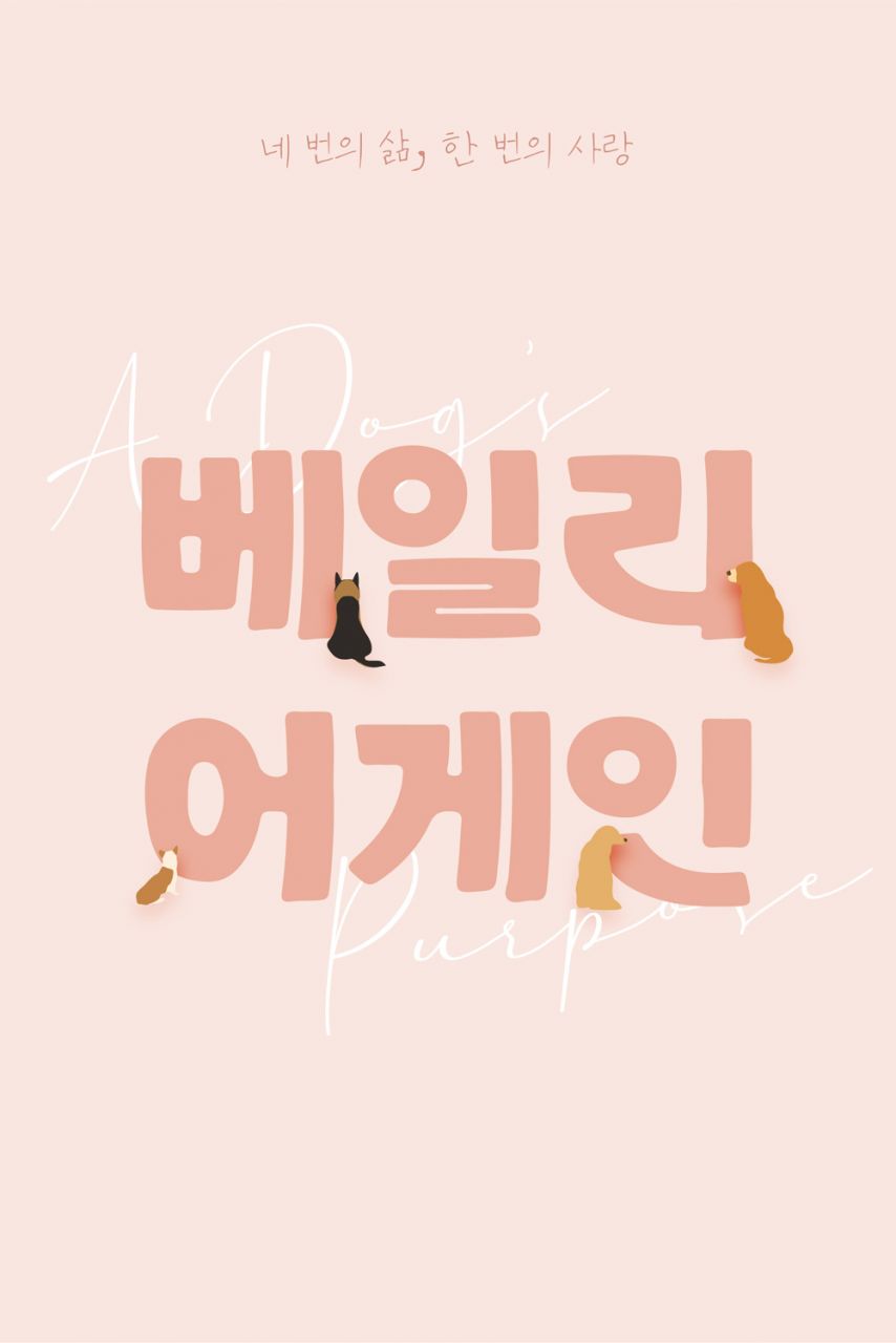 베일리 어게인 Image